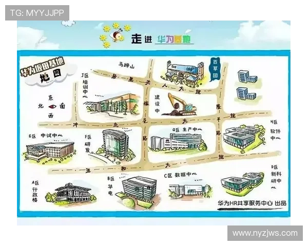 深圳排球队实力分析与未来发展潜力的深度探讨