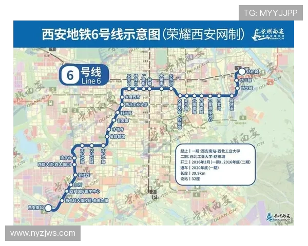 西安排球队运营模式解析与排球市场发展趋势探讨